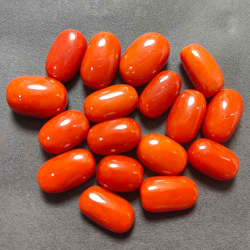 Red Coral Oval Shape (16 to 20 Ratti) - Best Quality Munga